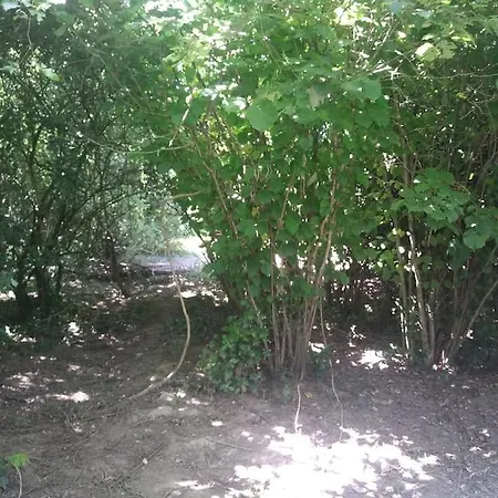 La Faerie - A La Campagne - 18 Personnes Holiday home Grand-Landes