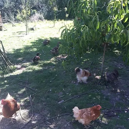 La Faerie - A La Campagne - 18 Personnes 別荘