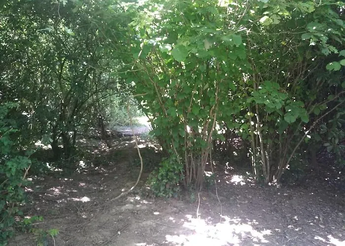 La Faerie - A La Campagne - 18 Personnes Ferienhaus Grand-Landes