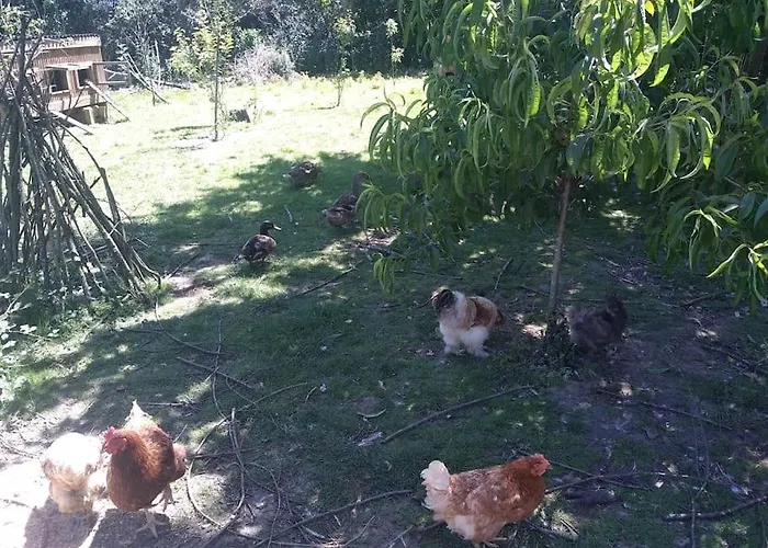 La Faerie - A La Campagne - 18 Personnes Ferienhaus
